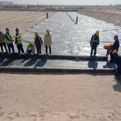 100% 처녀 HDPE LLDPE 1mm 2mm HDPE 생선 연못 문화 쓰레기 매립지