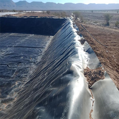 수산물 농장 호수 라인어 HDPE 지오 엠브란 롤 크기