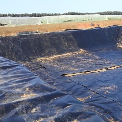다른 지역에서 아시아 디자인 스타일의 연못 부리를위한 오래 지속되는 HDPE 지오 멘브라인