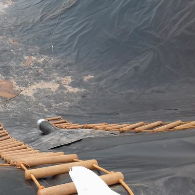 LDPE LLDPE HDPE 플라스틱 생선 연못 방수막 0.5mm HDPE 지오 엠브란 시트 m2