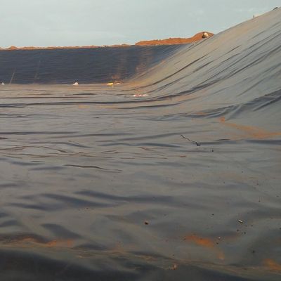 LDPE LLDPE HDPE 플라스틱 생선 연못 방수막 0.5mm HDPE 지오 엠브란 시트 m2