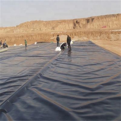 0.2mm HDPE 지오 엠브란 물 막연한 비플로크 생선 키우기 연못용 텐플라인 라인