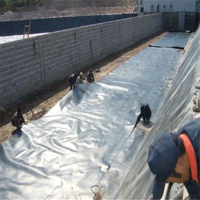 0.2mm HDPE 지오 엠브란 물 막연한 비플로크 생선 키우기 연못용 텐플라인 라인