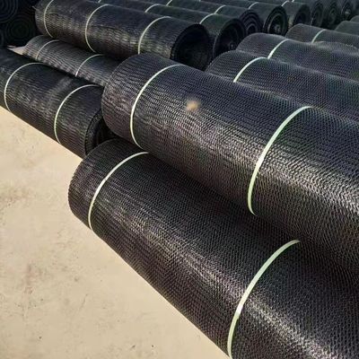 s HDPE PP 3D 지오매트 경사 보호 및 배수용을위한 최고의 솔루션
