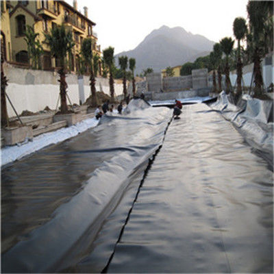 현대 디자인 스타일 인도 제조 된 HDPE 지오 림프 1mm 생선 연못 라인러