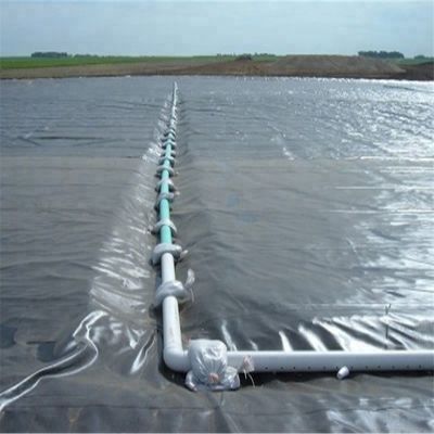 현대 디자인 스타일 인도 제조 된 HDPE 지오 림프 1mm 생선 연못 라인러