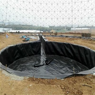 HDPE 방수 지오 멘브란 HDPE 생선 연못을 위한 부드러운 방수 라인어 방수