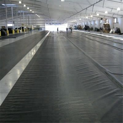 1mm 1.2mm 1.5mm HDPE 지질막 덩어리 또는 인공 호수 검은 녹색 파란색 흰색