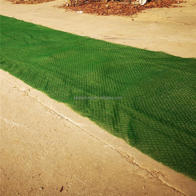 2m HDPE 지오마트 경사 보호 및 잔디 침식 제어 A B2B 구매자의 선택