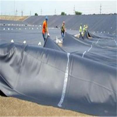 쓰레기 매립장 및 물고기 연못에 맞춤형 너비 HDPE 지오 엠브랜 환경 친화적