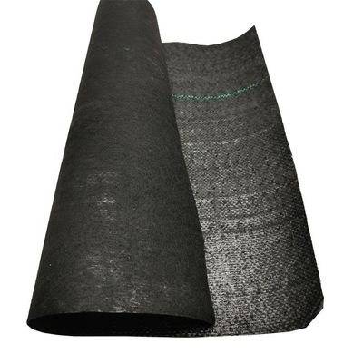 PP 높은 견고성 70GSM-400GSM 블루베리 정원 잡초 퇴치를 위한 직물 지오텍스틸