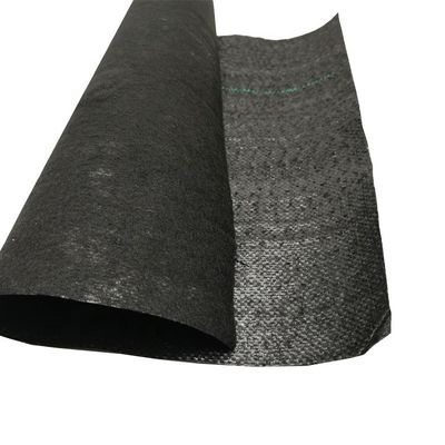 PP 높은 견고성 70GSM-400GSM 블루베리 정원 잡초 퇴치를 위한 직물 지오텍스틸