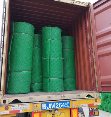 CE/ISO9001/ISO14001 인증을 받은 HDPE 3D 지오매트