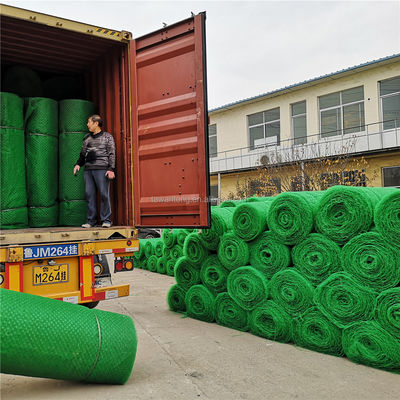 현대 디자인 플라스틱 지오마트 HDPE 3D 침식 제어 매트 경사 보호
