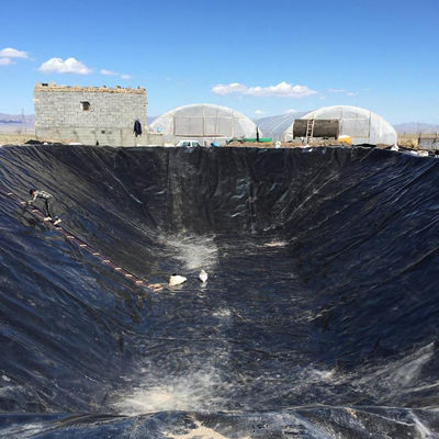 현대 디자인 스타일 40mil 또는 1mm 매끄러운 지오 림프 HDPE 웅덩이 라이너 현장 교육