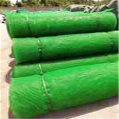 HDPE PP 침식 제어 3D 식물 덮개 지오마트 경사 보호용 잔디 포장