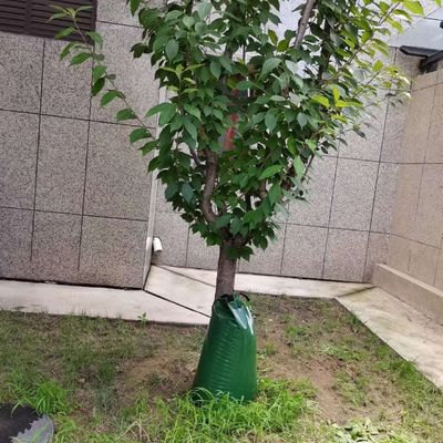 녹색 2 팩 15 갤론 느린 방출 자 방울 관개 나무 관개 가방 CE/ISO 승인