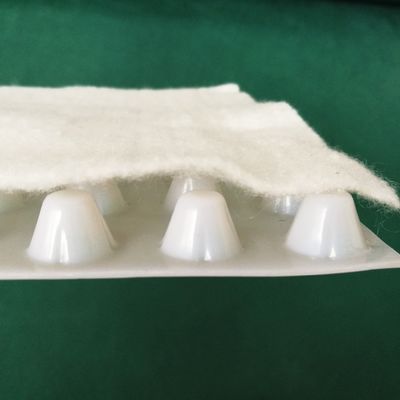 CE/ISO/ISO14001 인증을 받은 지오텍스틸 HDPE 덩굴 복합판의 호텔 배수판
