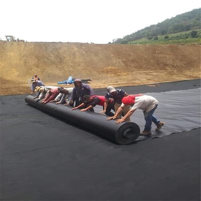 맞춤형 너비 0.75mm HDPE 지오 멘브란 필름 새우 재배용 생선 연못 라인어