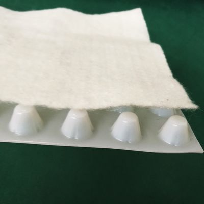 CE/ISO/ISO14001 인증을 받은 지오텍스틸 HDPE 덩굴 복합판의 호텔 배수판
