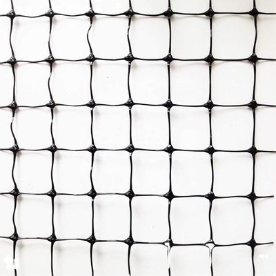 1.5cm Mesh 27gsm PP 안티 버드 넷 포도 또는 과일 나무에 맞춤형 길이