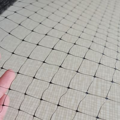 1.5cm Mesh 27gsm PP 안티 버드 넷 포도 또는 과일 나무에 맞춤형 길이