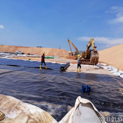 검은색 1mm HDPE 지질막 현대 디자인 스타일의 생선 농장 연못 라이너