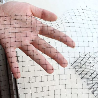 CE ISO 인증을 받은 가파른 조류 방지 망 트레일러 망 정원 온실 과수원을 위해