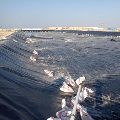 2m-8m 너비 HDPE 덤 라인어 1mm 지오 엠브레인 라인어 수산물 농장 판매