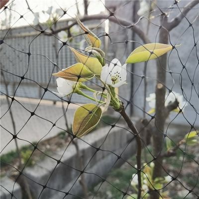 최대 4m 너비 가중 중무용 반 조류 보호 넥팅 맷
