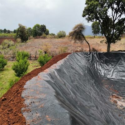 중국 디자인 스타일 수산업용 HDPE 지질막 어림 농장 덤비 쓰레기 매립 웅덩이 라인