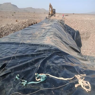 중국 디자인 스타일 수산업용 HDPE 지질막 어림 농장 덤비 쓰레기 매립 웅덩이 라인