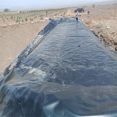 검은색 HDPE 지오 멘브라인 라인어 1mm 농업 연못 방수 0.5mm 0.75mm 1.5mm