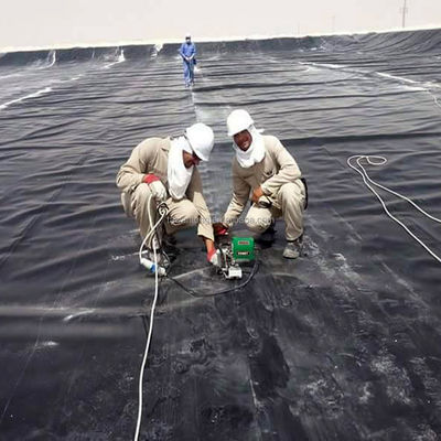 HDPE LDPE LLDPE PVC 지오 림프 라인어 덩어리 인도네시아의 물고기 새우 탱크