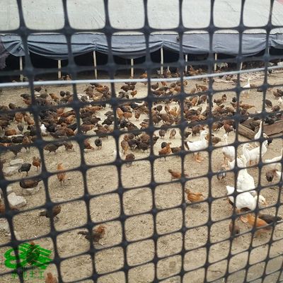 검은색 지오텍스틸 직물 없는 양축성 플라스틱 지오그리드
