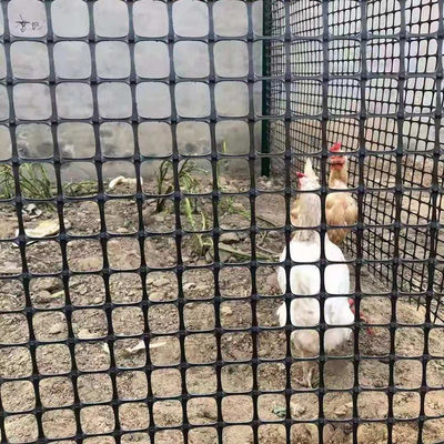 고속도로 안정화를 위한 고강도 팽창성 HDPE PP 플라스틱 양축성 검은 지오그리드